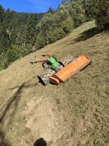 Pflege v. Almen_EG_Landschaftspflege